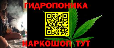 крисы Балаково