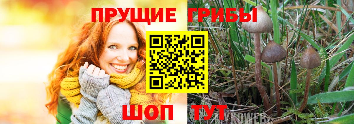 Десногорск  Псилоцибиновые грибы MAGIC MUSHROOMS  Вход с VPN 
