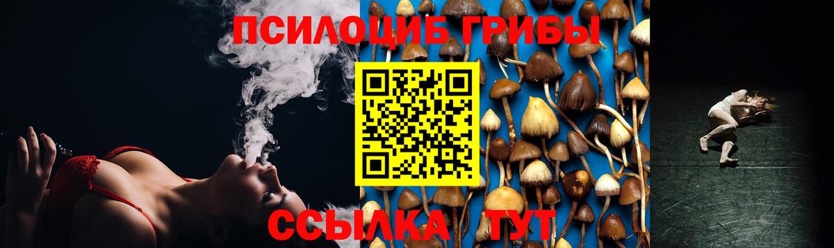 Галлюциногенные грибы Cubensis Десногорск